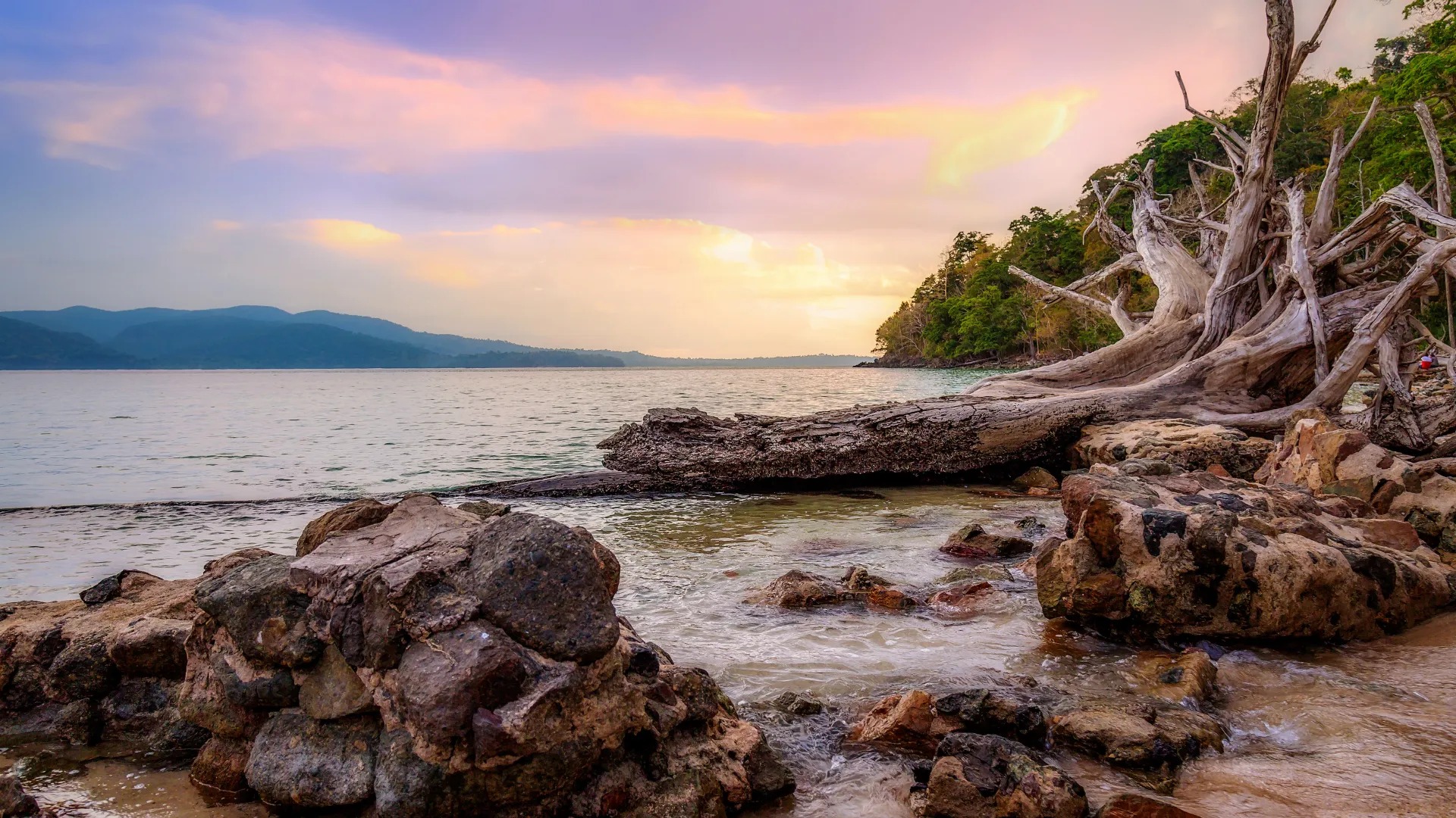 listing-details-carousel